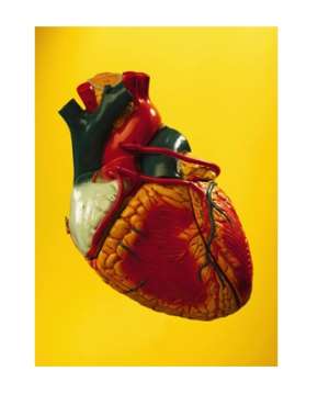 World Heart Day, Be A Heart Hero: Small Changes, Bigger Impacts